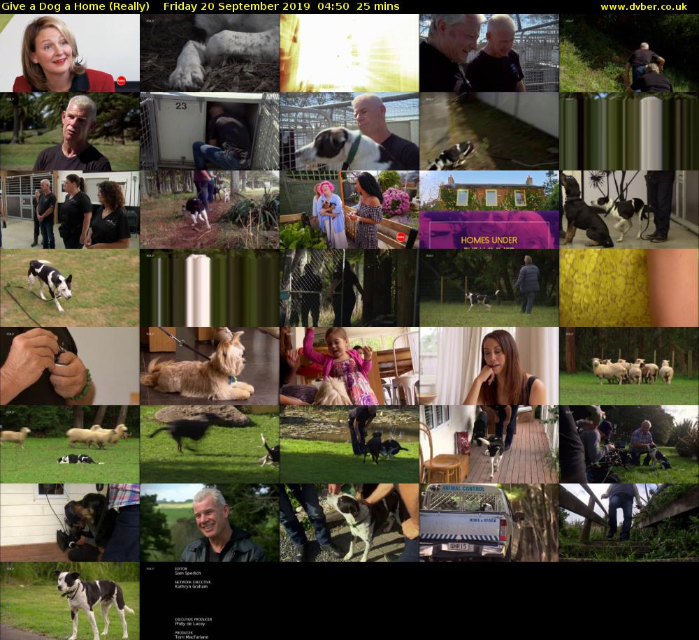Give a Dog a Home (Really) Friday 20 September 2019 04:50 - 05:15