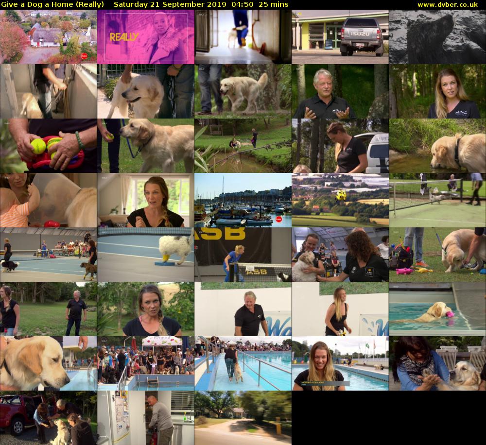 Give a Dog a Home (Really) Saturday 21 September 2019 04:50 - 05:15