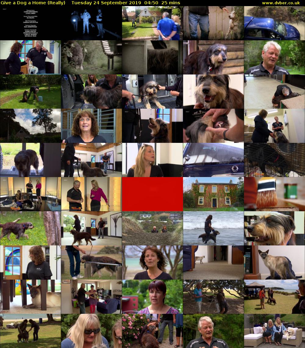 Give a Dog a Home (Really) Tuesday 24 September 2019 04:50 - 05:15