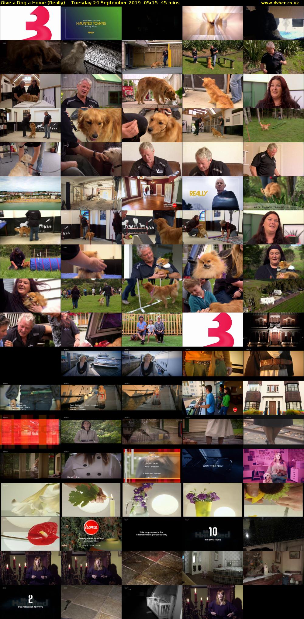 Give a Dog a Home (Really) Tuesday 24 September 2019 05:15 - 06:00