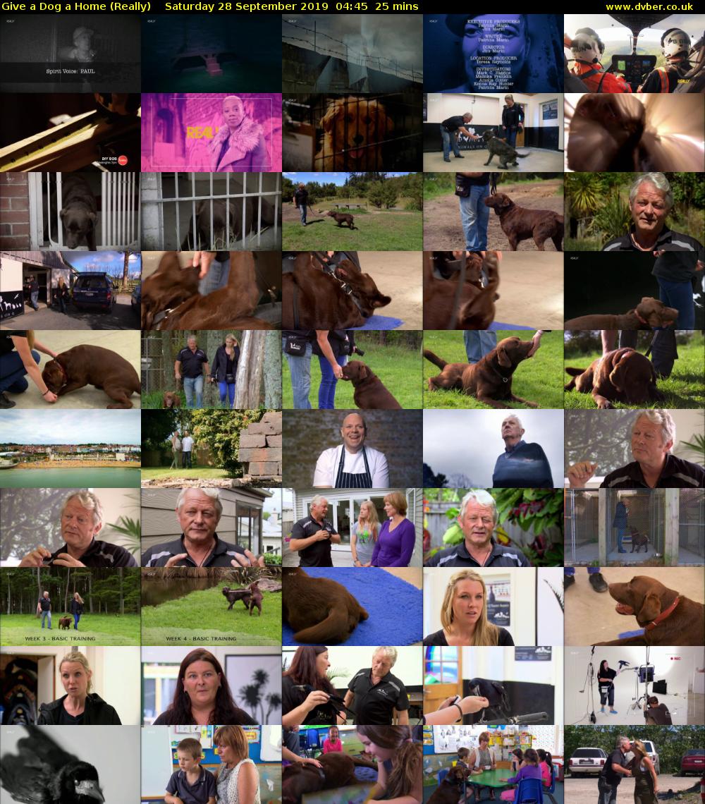 Give a Dog a Home (Really) Saturday 28 September 2019 04:45 - 05:10
