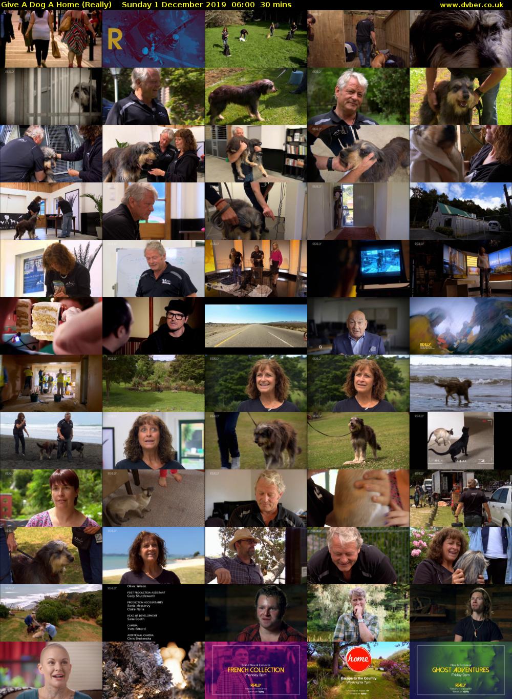 Give a Dog a Home (Really) Sunday 1 December 2019 06:00 - 06:30