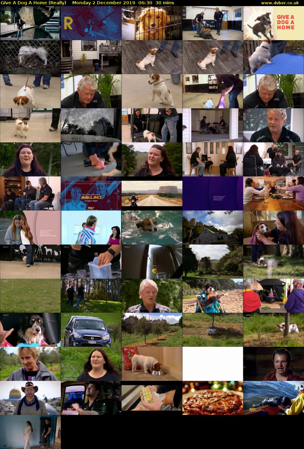 Give a Dog a Home (Really) Monday 2 December 2019 06:30 - 07:00