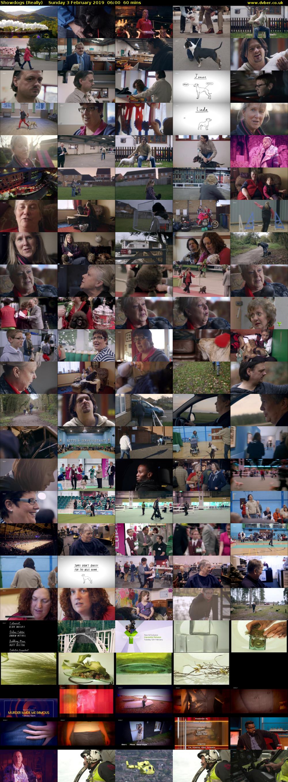 Showdogs (Really) Sunday 3 February 2019 06:00 - 07:00