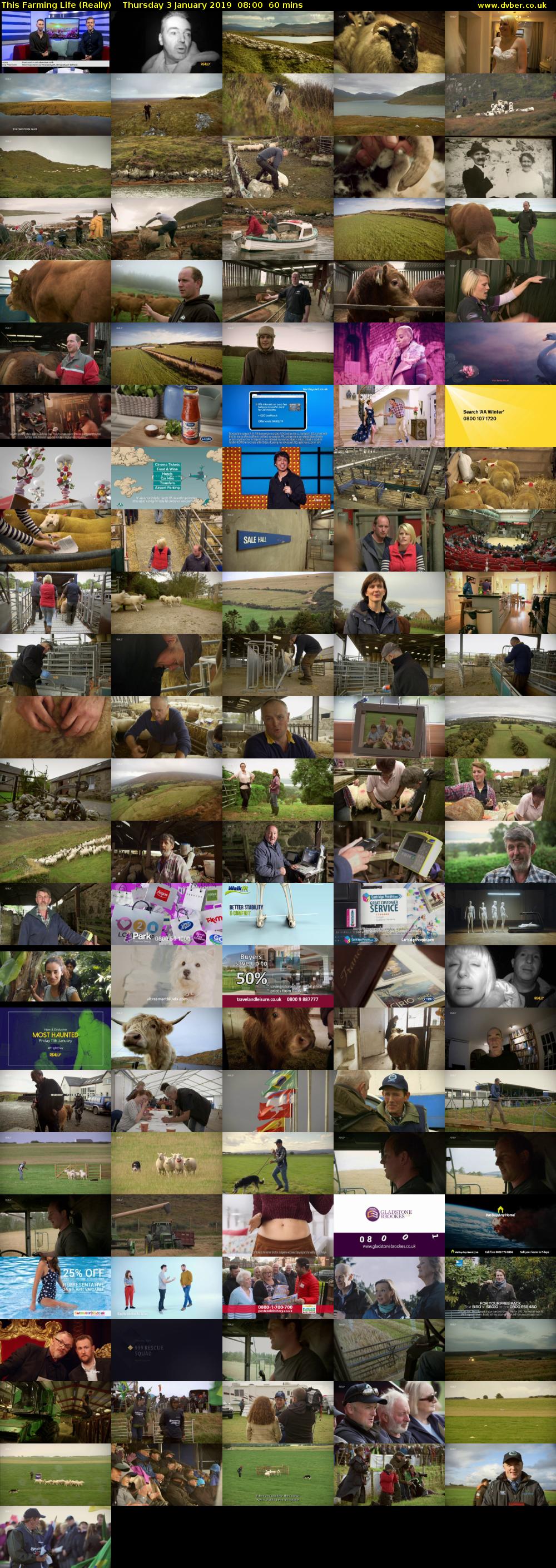 This Farming Life (Really) Thursday 3 January 2019 08:00 - 09:00