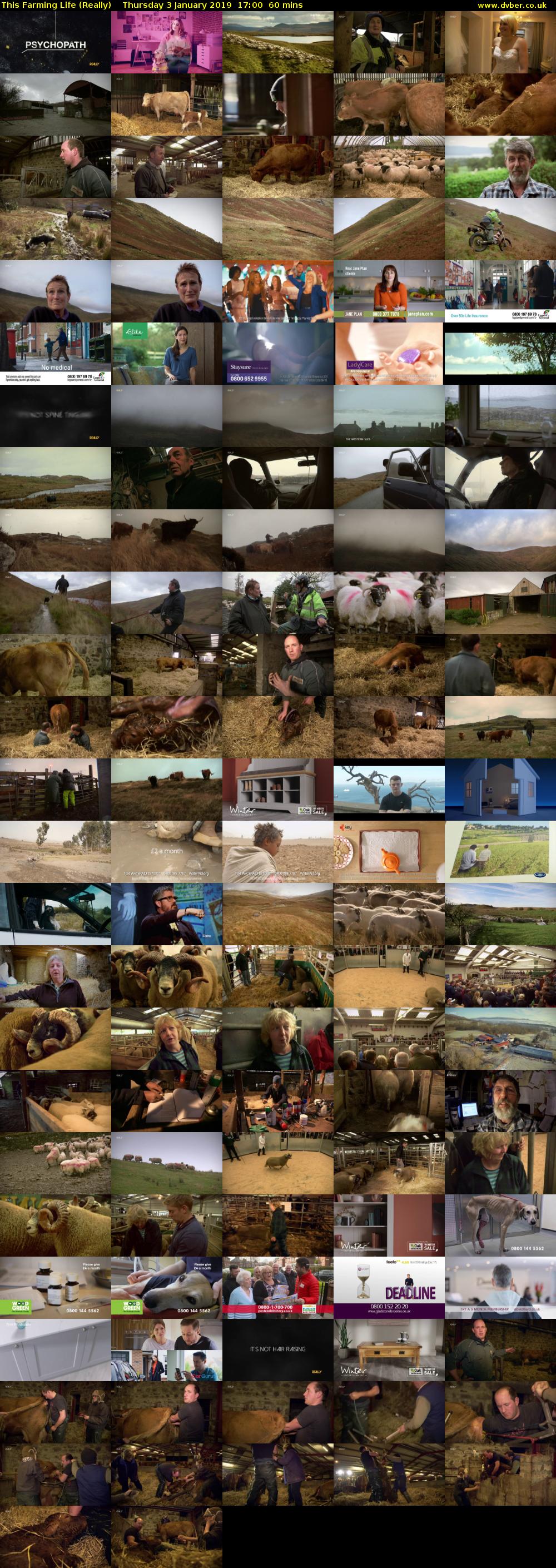 This Farming Life (Really) Thursday 3 January 2019 17:00 - 18:00