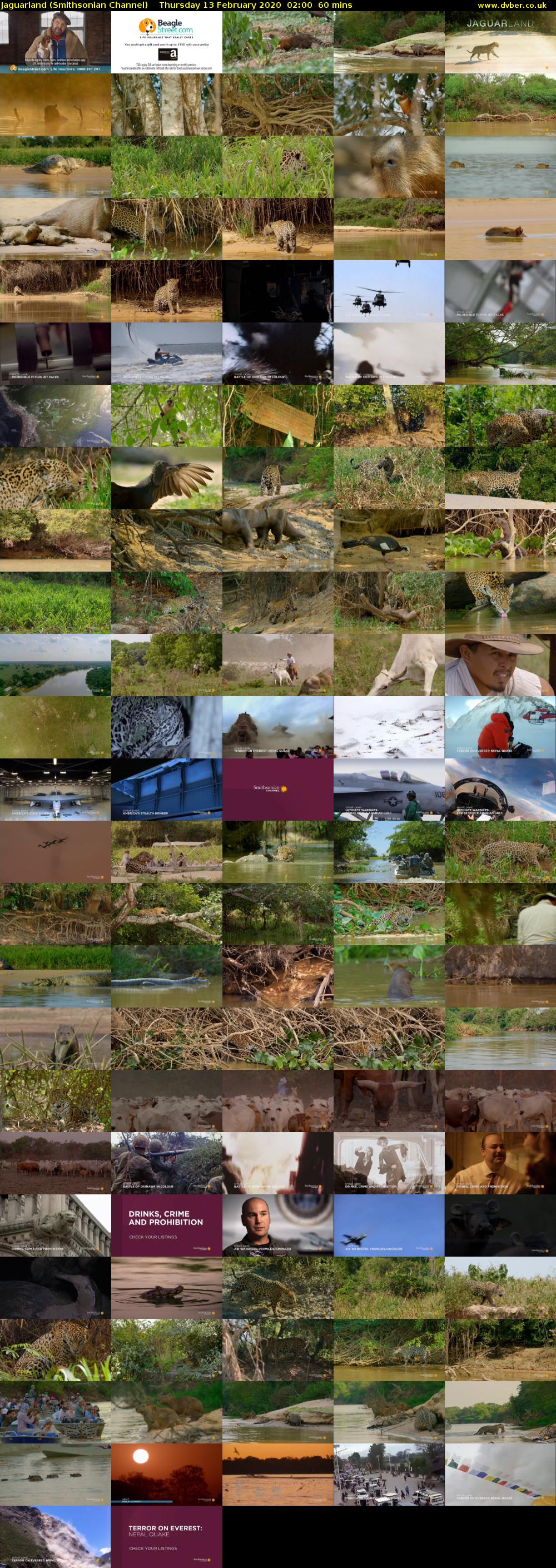 Jaguarland (Smithsonian Channel) Thursday 13 February 2020 02:00 - 03:00