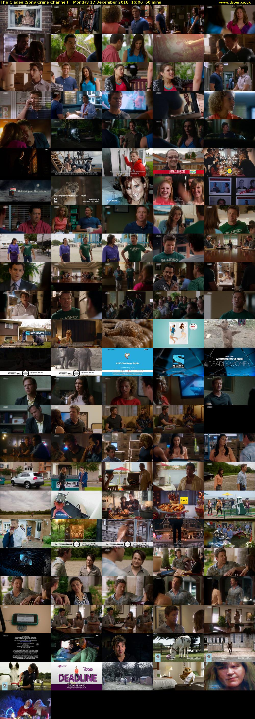 The Glades (Sony Crime Channel) Monday 17 December 2018 16:00 - 17:00