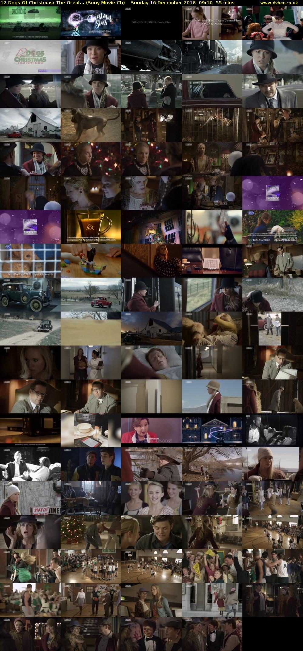 12 Dogs Of Christmas: The Great... (Sony Movie Ch) Sunday 16 December 2018 09:10 - 10:05