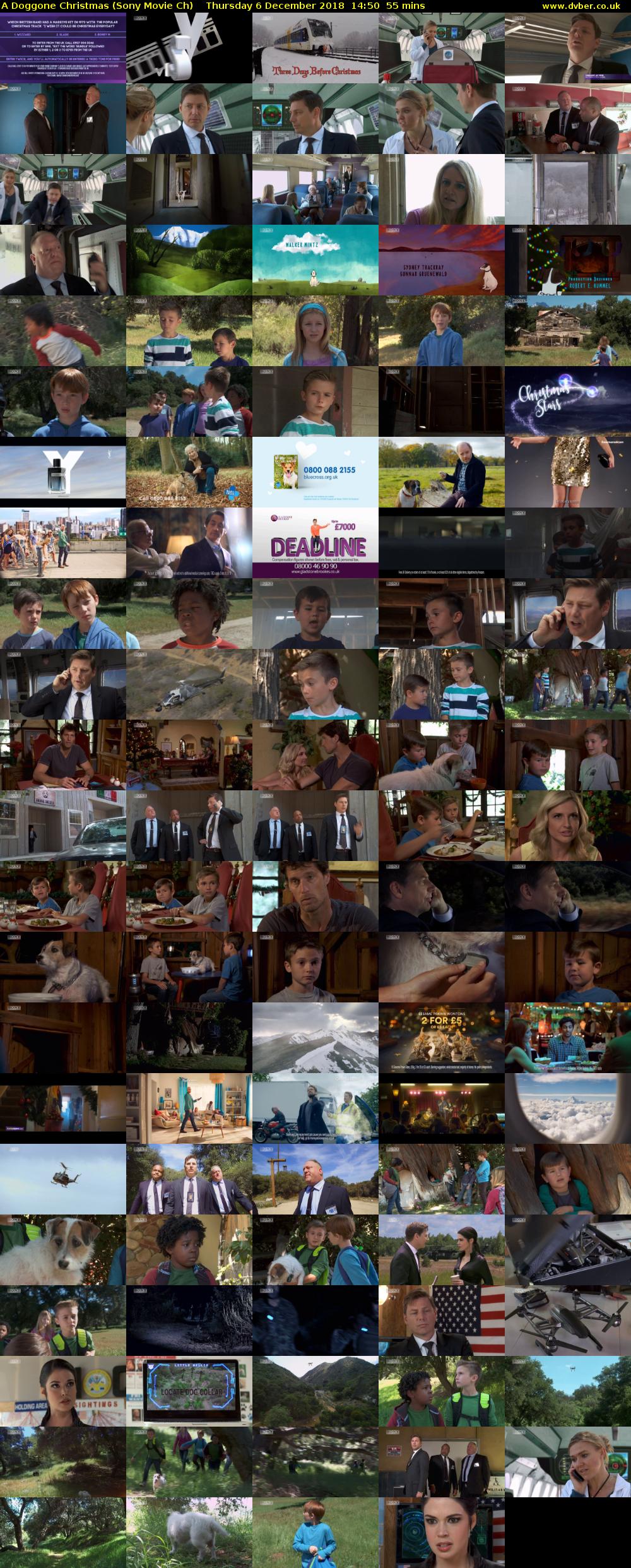 A Doggone Christmas (Sony Movie Ch) Thursday 6 December 2018 14:50 - 15:45