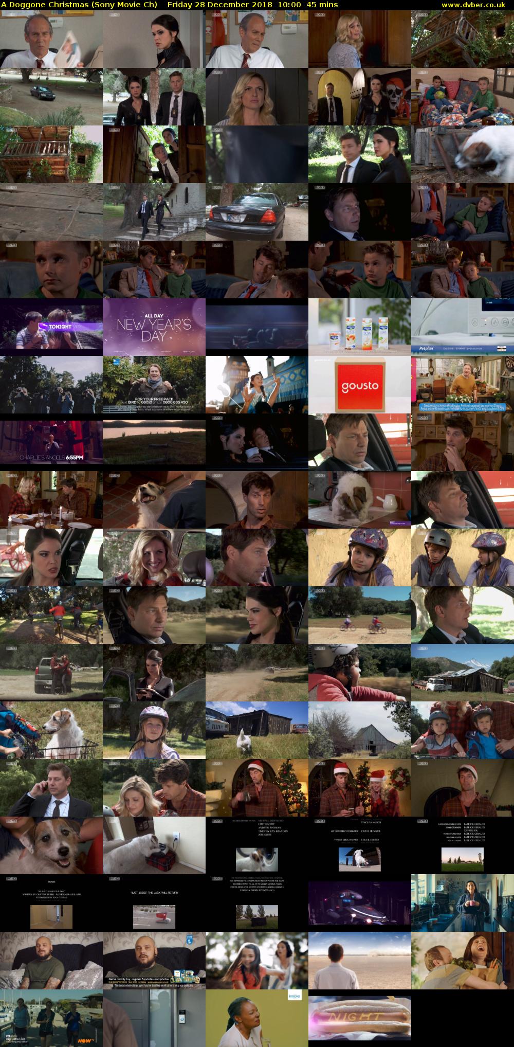 A Doggone Christmas (Sony Movie Ch) Friday 28 December 2018 10:00 - 10:45