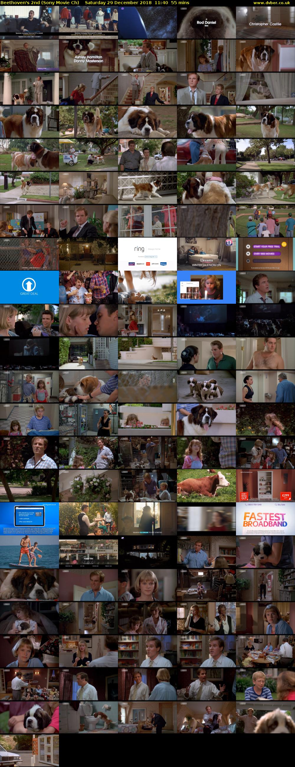 Beethoven's 2nd (Sony Movie Ch) Saturday 29 December 2018 11:40 - 12:35