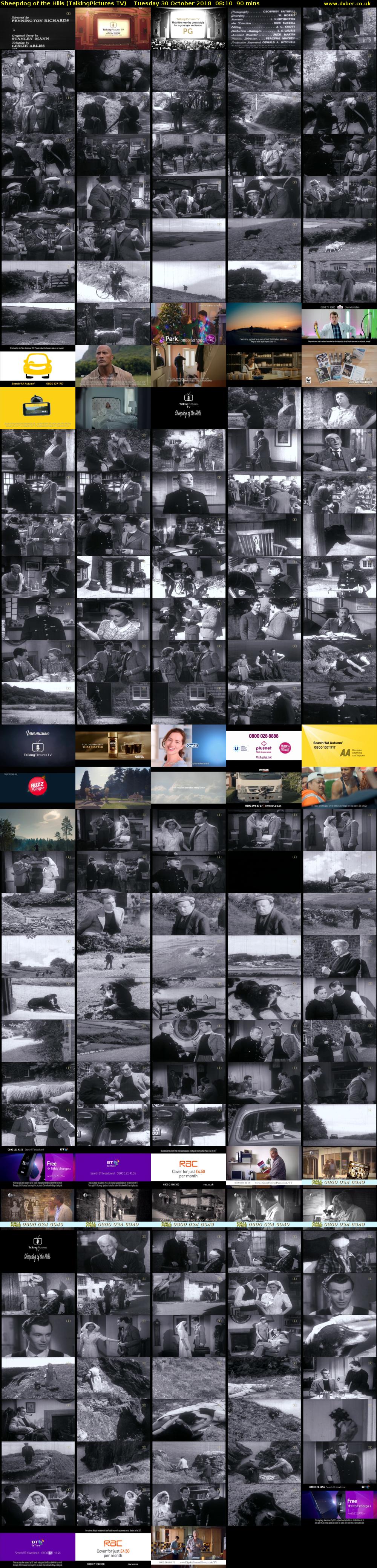 Sheepdog of the Hills (TalkingPictures TV) Tuesday 30 October 2018 08:10 - 09:40