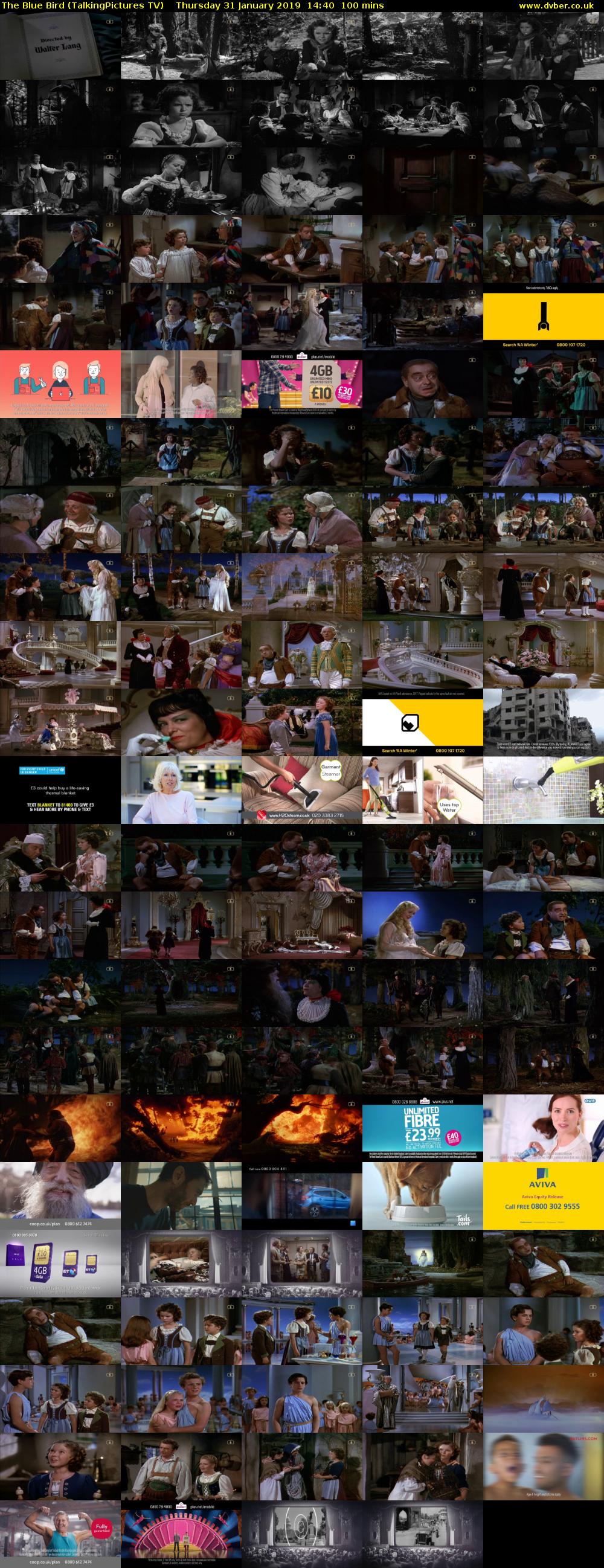 The Blue Bird (TalkingPictures TV) Thursday 31 January 2019 14:40 - 16:20