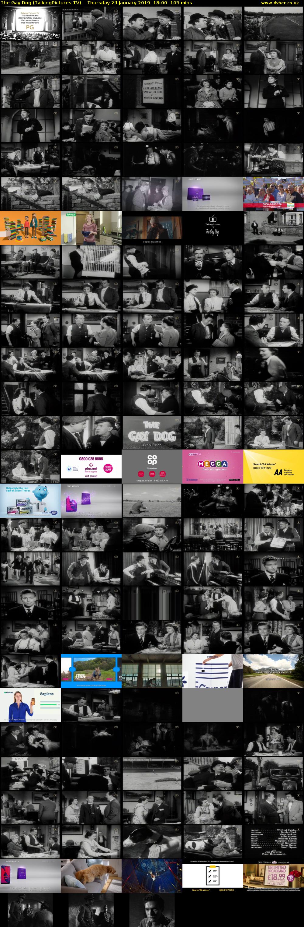 The Gay Dog (TalkingPictures TV) Thursday 24 January 2019 18:00 - 19:45