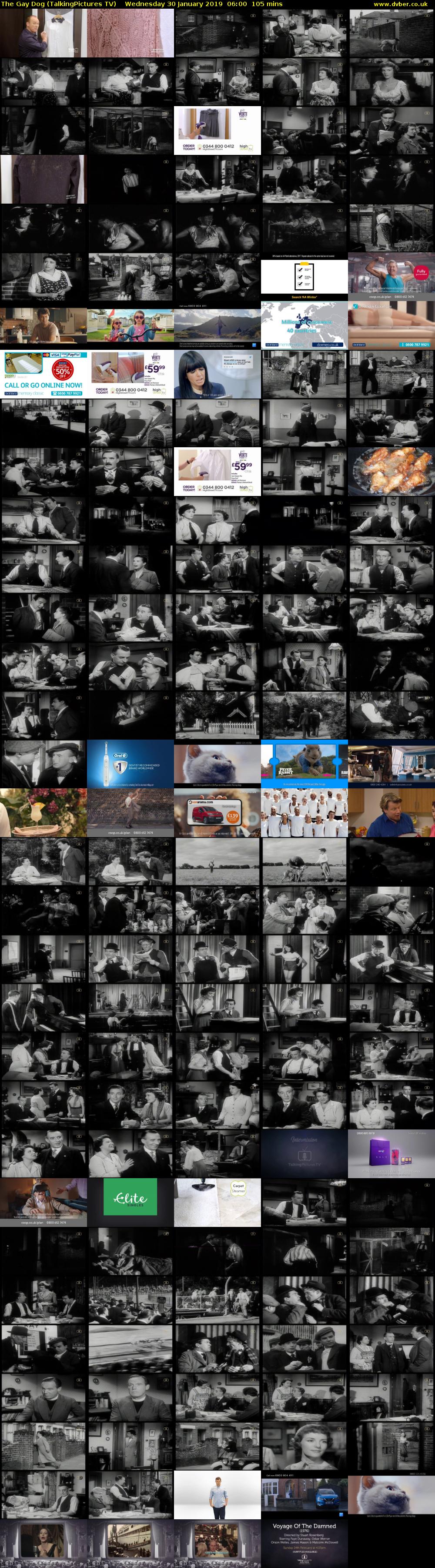 The Gay Dog (TalkingPictures TV) Wednesday 30 January 2019 06:00 - 07:45