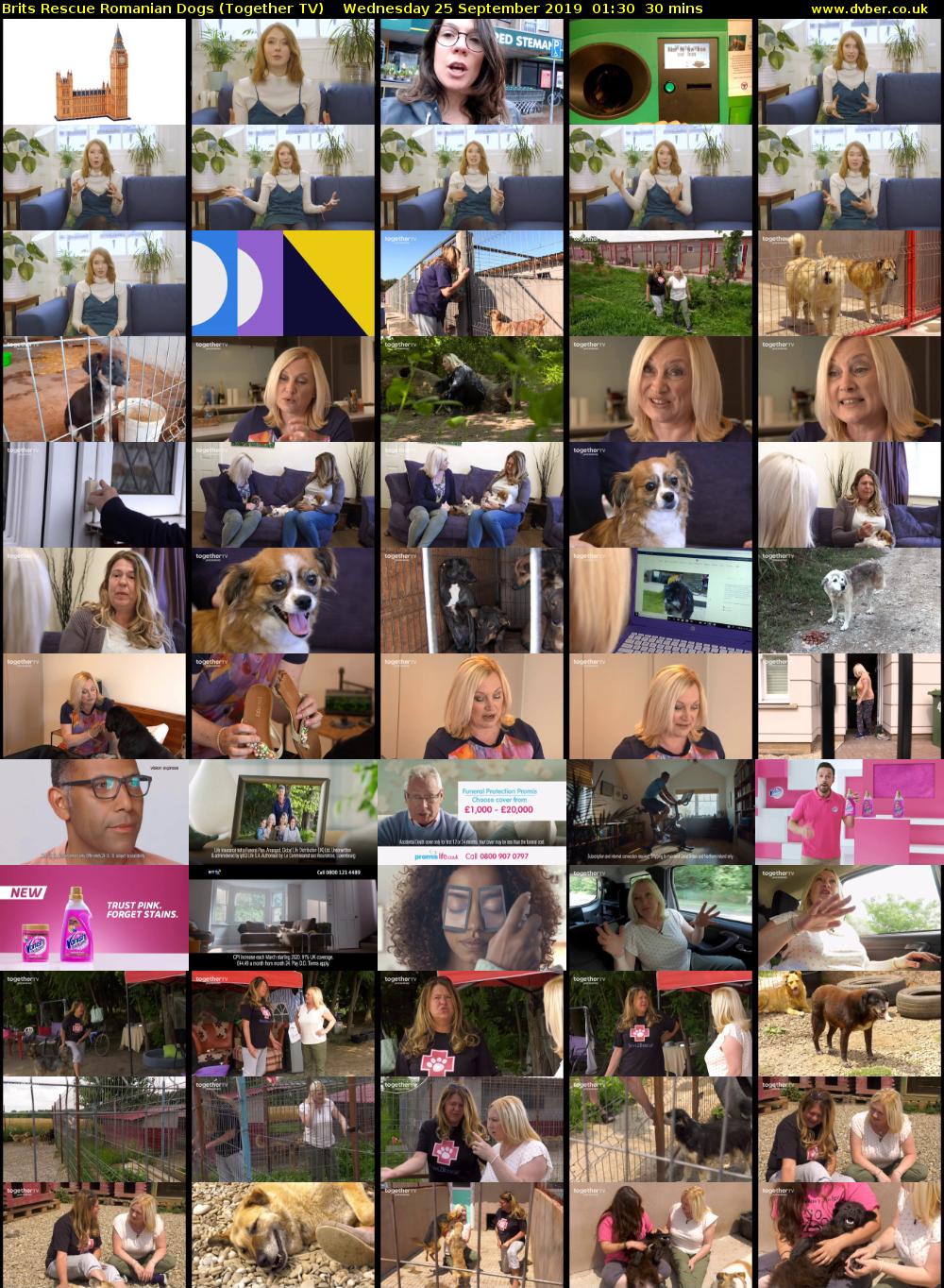 Brits Rescue Romanian Dogs (Together TV) Wednesday 25 September 2019 01:30 - 02:00
