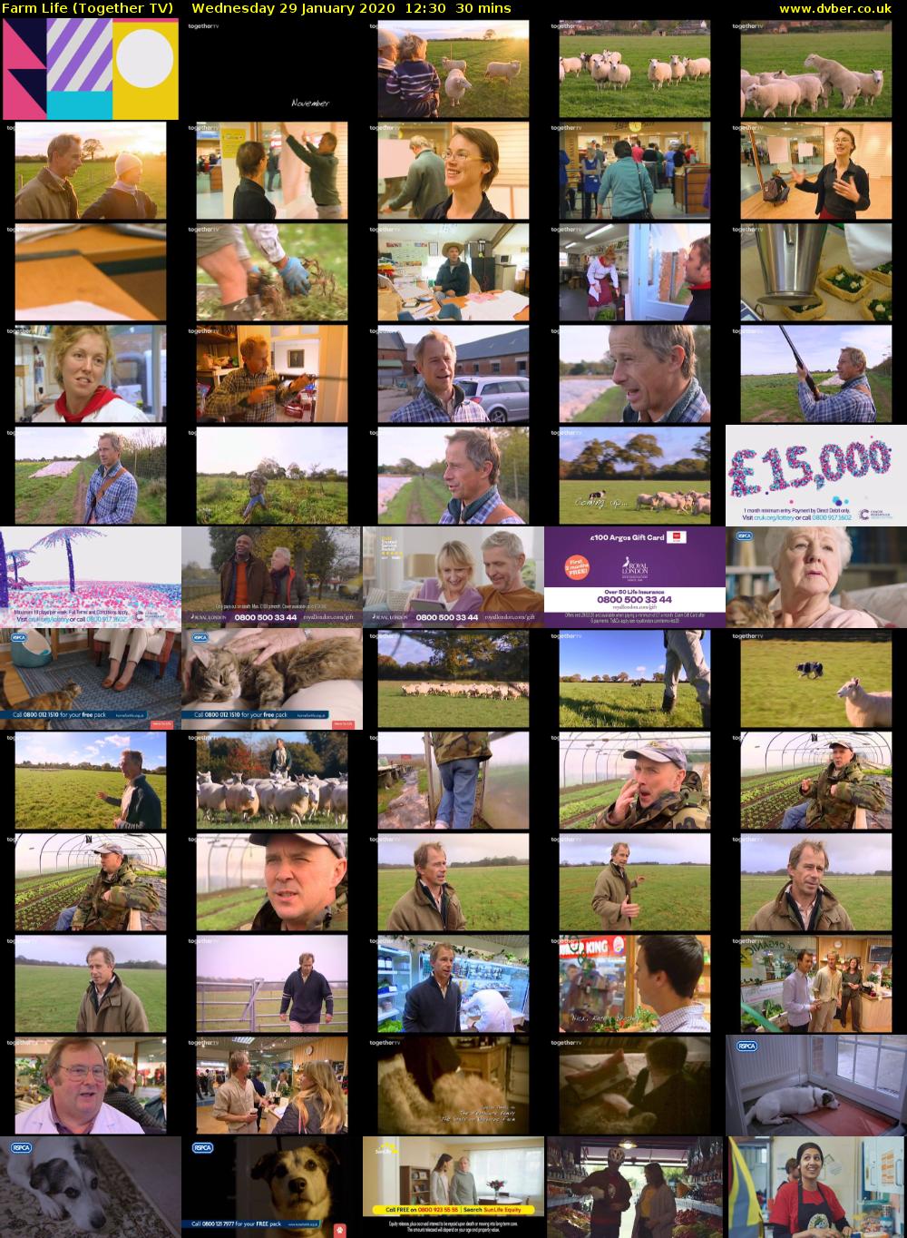 Farm Life (Together TV) Wednesday 29 January 2020 12:30 - 13:00