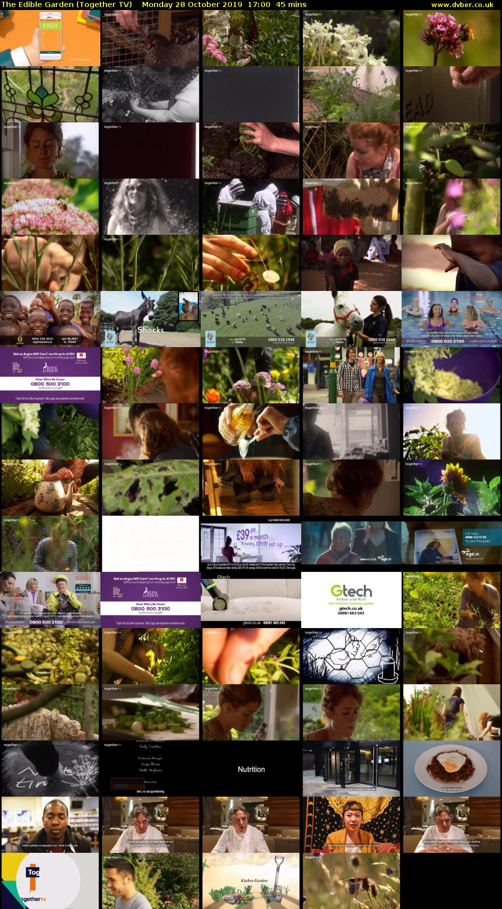 The Edible Garden (Together TV) Monday 28 October 2019 17:00 - 17:45