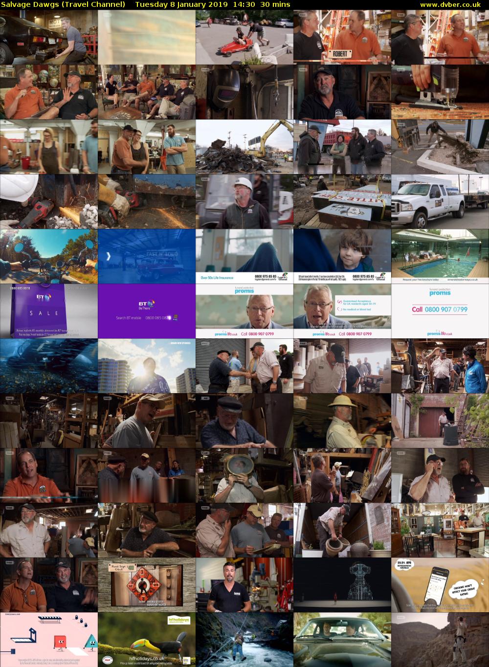 Salvage Dawgs (Travel Channel) Tuesday 8 January 2019 14:30 - 15:00
