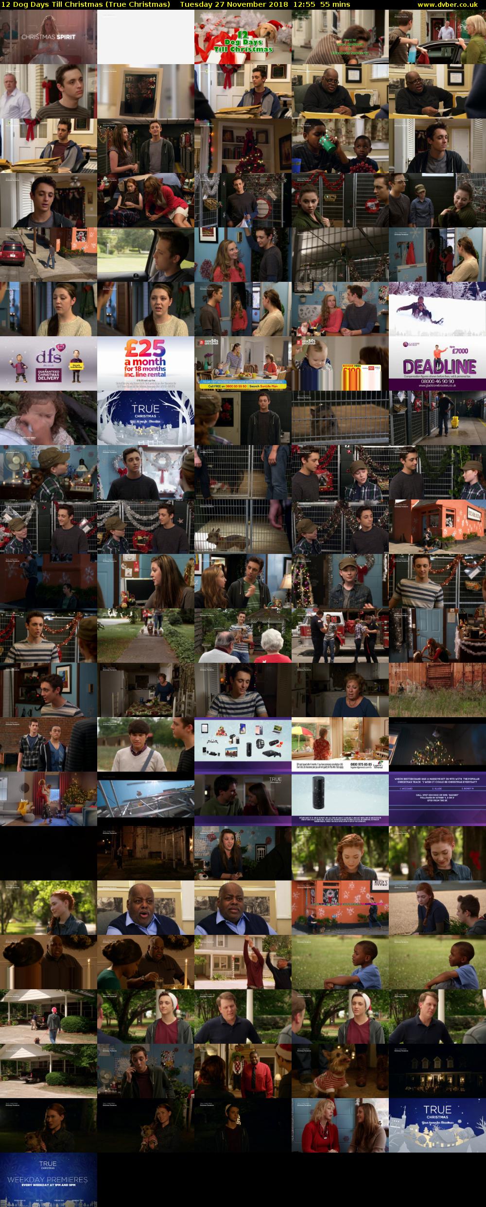 12 Dog Days Till Christmas (True Christmas) Tuesday 27 November 2018 12:55 - 13:50