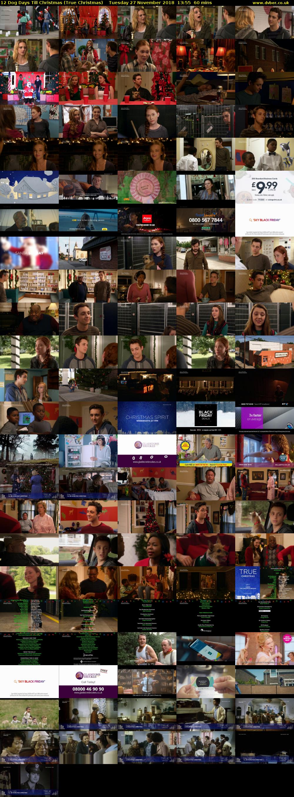 12 Dog Days Till Christmas (True Christmas) Tuesday 27 November 2018 13:55 - 14:55