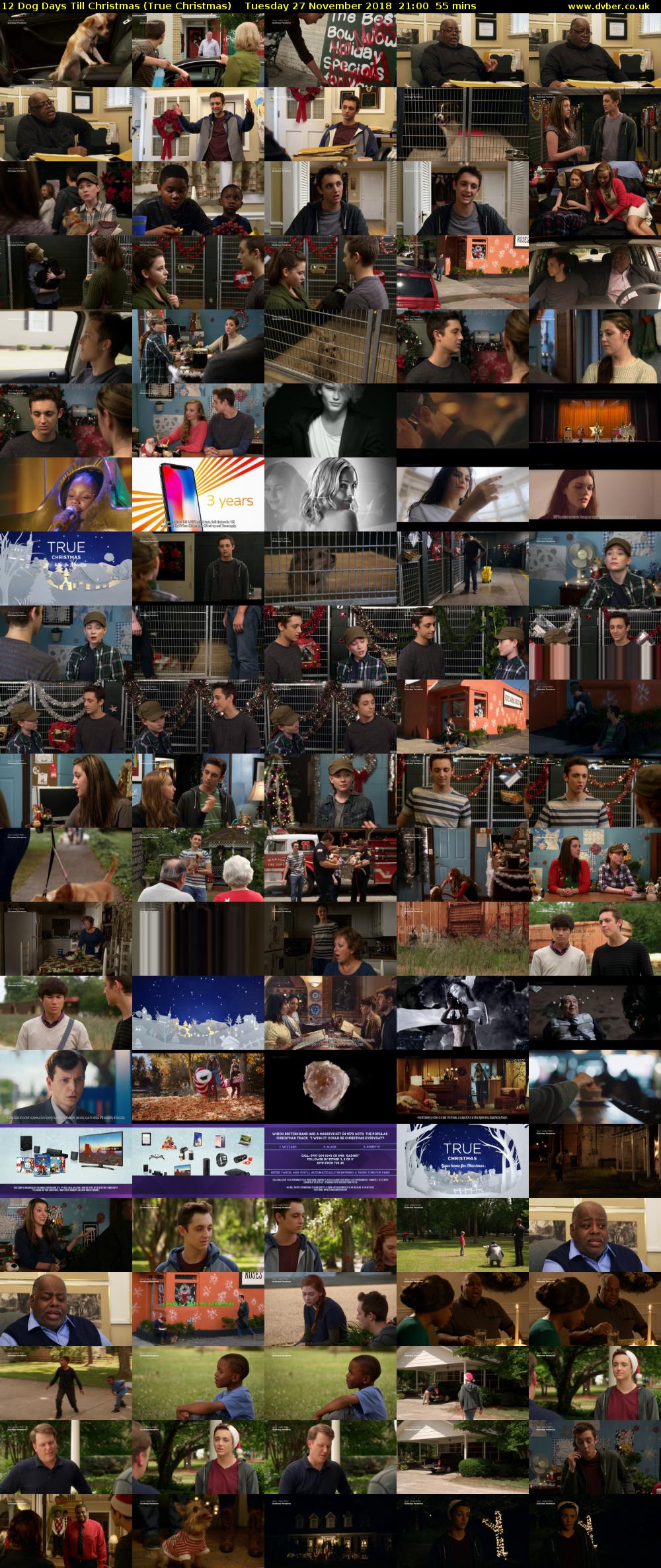 12 Dog Days Till Christmas (True Christmas) Tuesday 27 November 2018 21:00 - 21:55