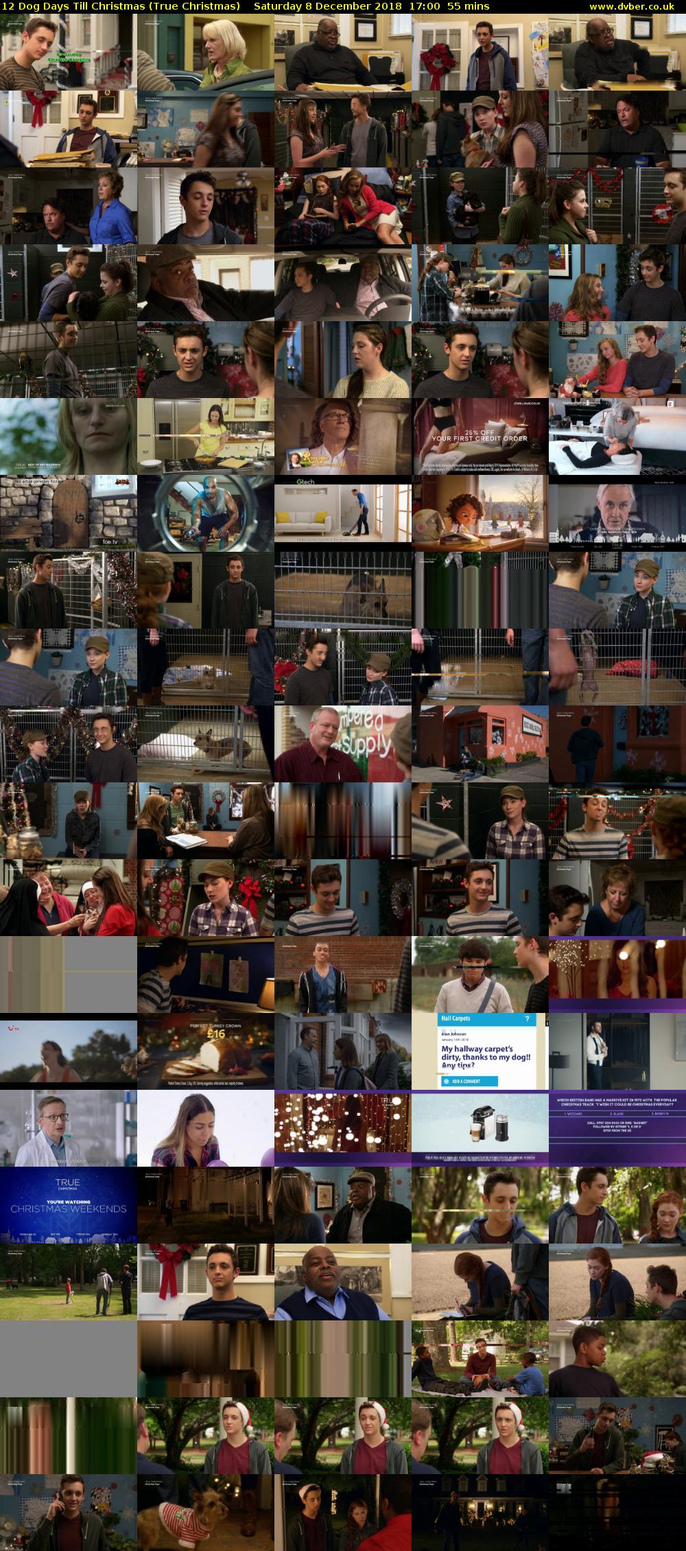 12 Dog Days Till Christmas (True Christmas) Saturday 8 December 2018 17:00 - 17:55