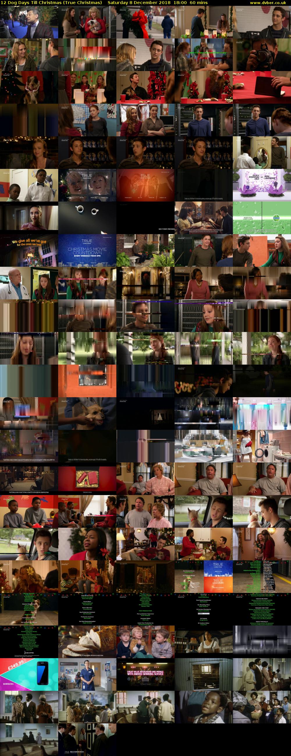 12 Dog Days Till Christmas (True Christmas) Saturday 8 December 2018 18:00 - 19:00