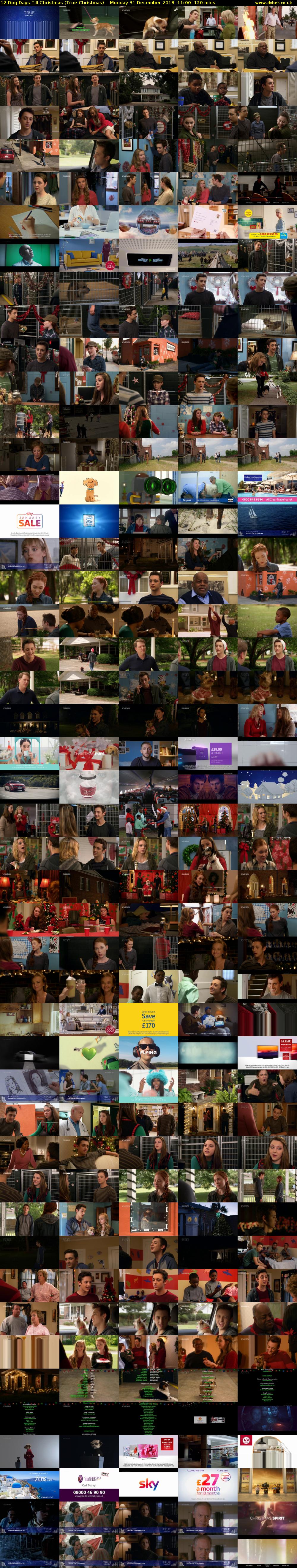 12 Dog Days Till Christmas (True Christmas) Monday 31 December 2018 11:00 - 13:00