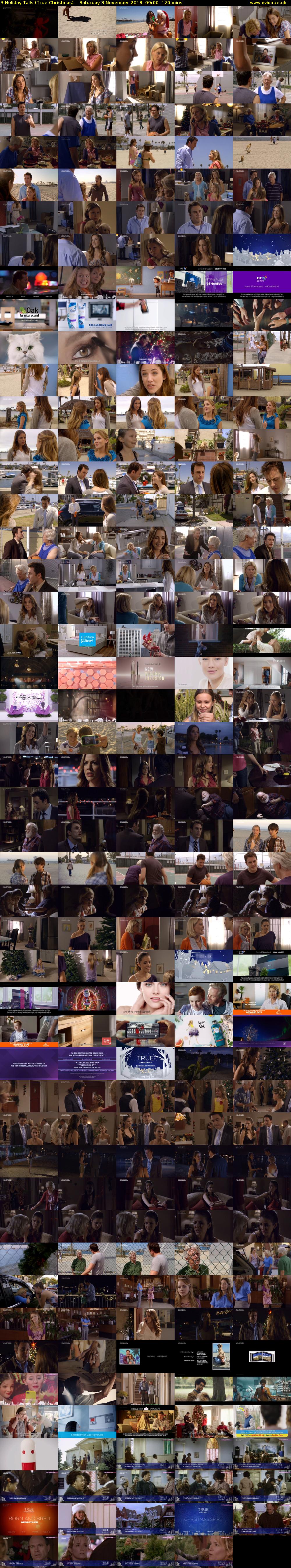 3 Holiday Tails (True Christmas) Saturday 3 November 2018 09:00 - 11:00