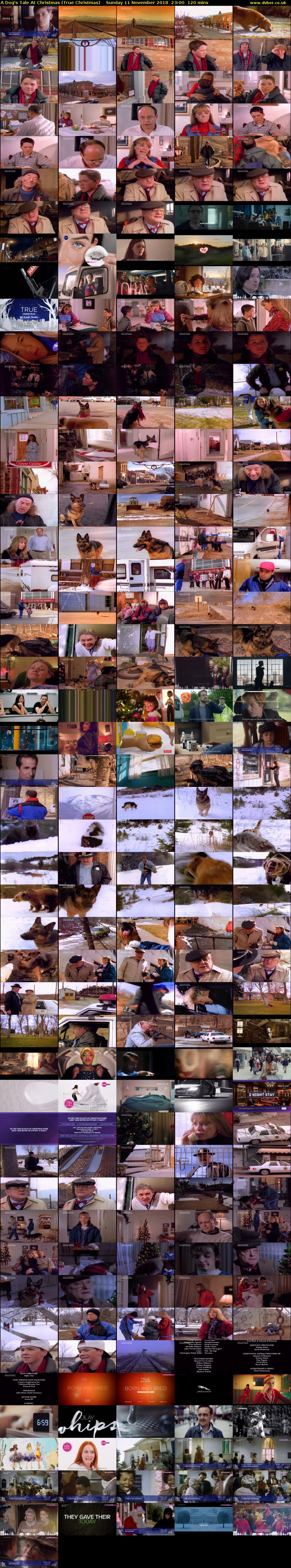 A Dog's Tale At Christmas (True Christmas) Sunday 11 November 2018 23:00 - 01:00