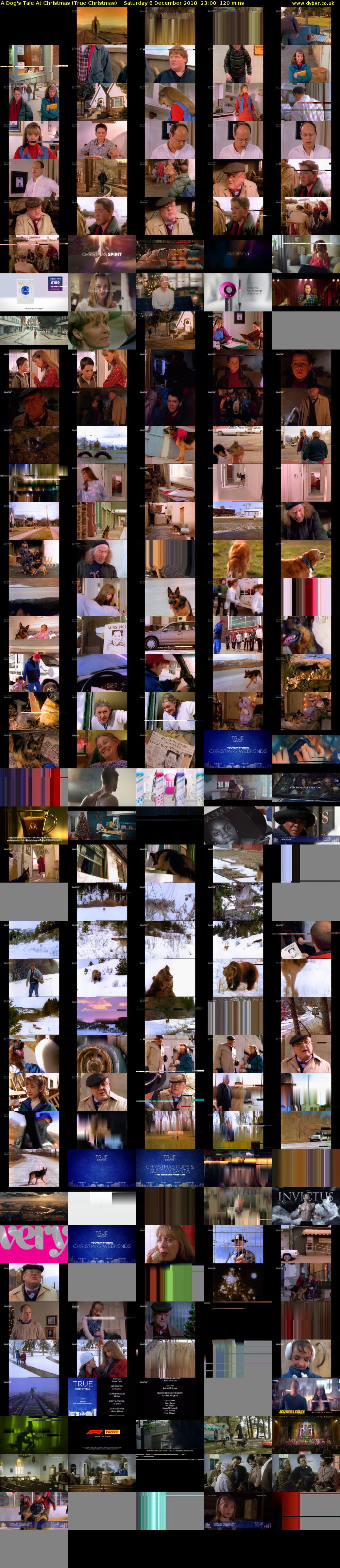 A Dog's Tale At Christmas (True Christmas) Saturday 8 December 2018 23:00 - 01:00