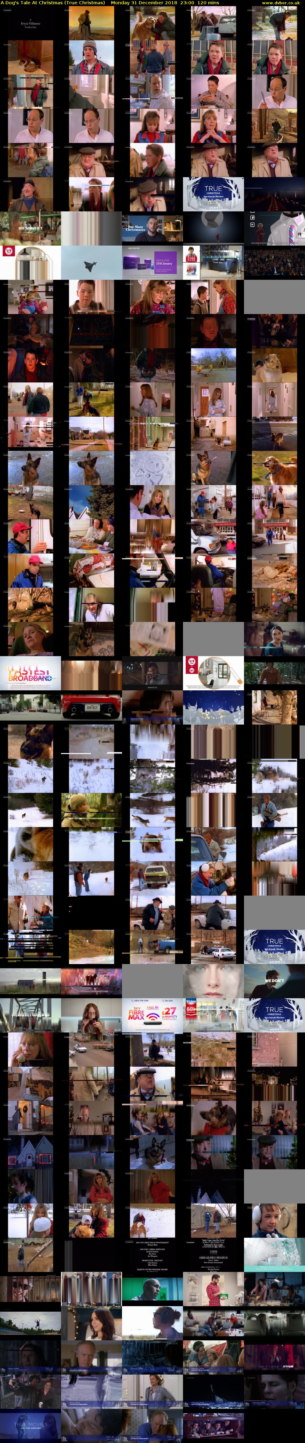 A Dog's Tale At Christmas (True Christmas) Monday 31 December 2018 23:00 - 01:00