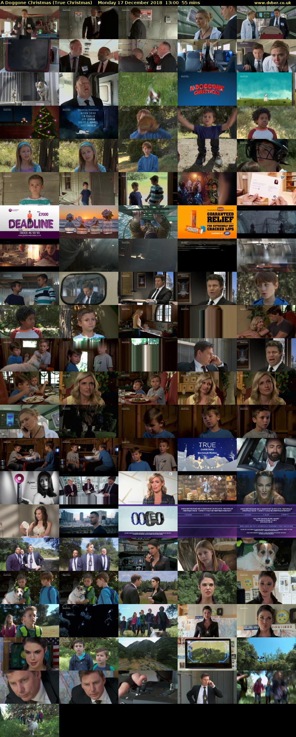 A Doggone Christmas (True Christmas) Monday 17 December 2018 13:00 - 13:55