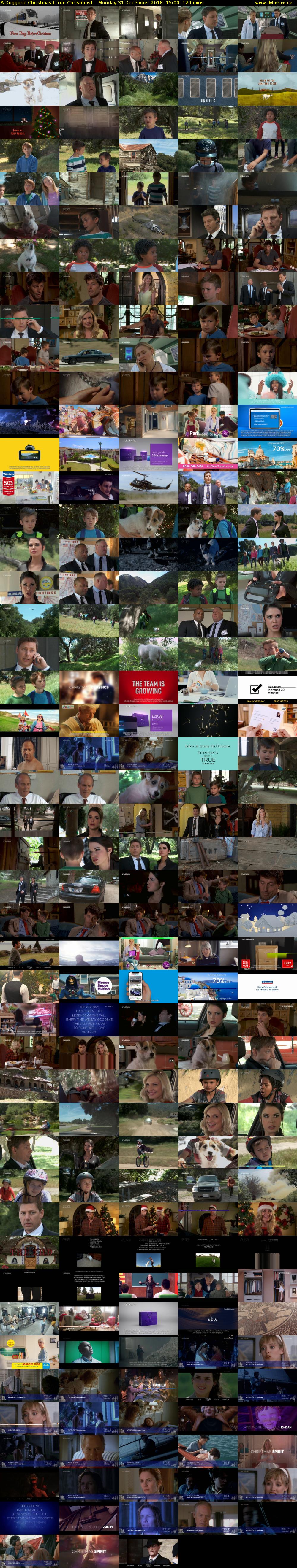 A Doggone Christmas (True Christmas) Monday 31 December 2018 15:00 - 17:00