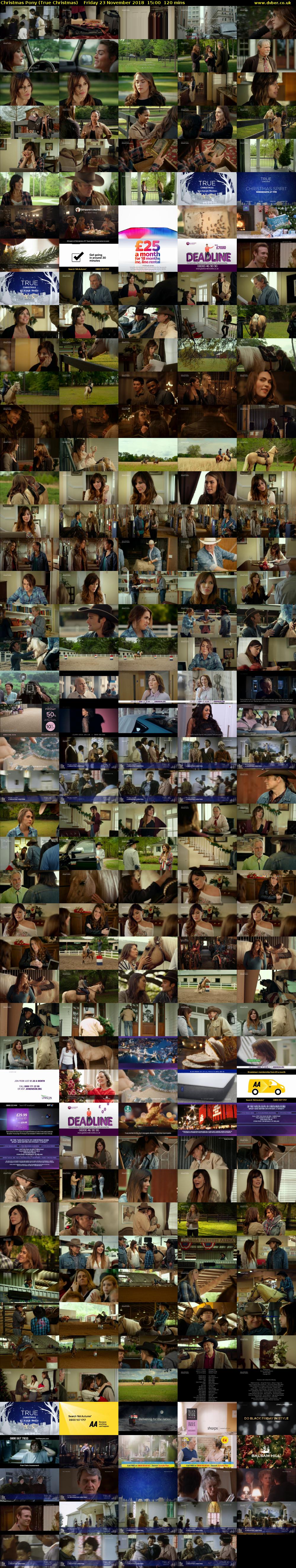 Christmas Pony (True Christmas) Friday 23 November 2018 15:00 - 17:00