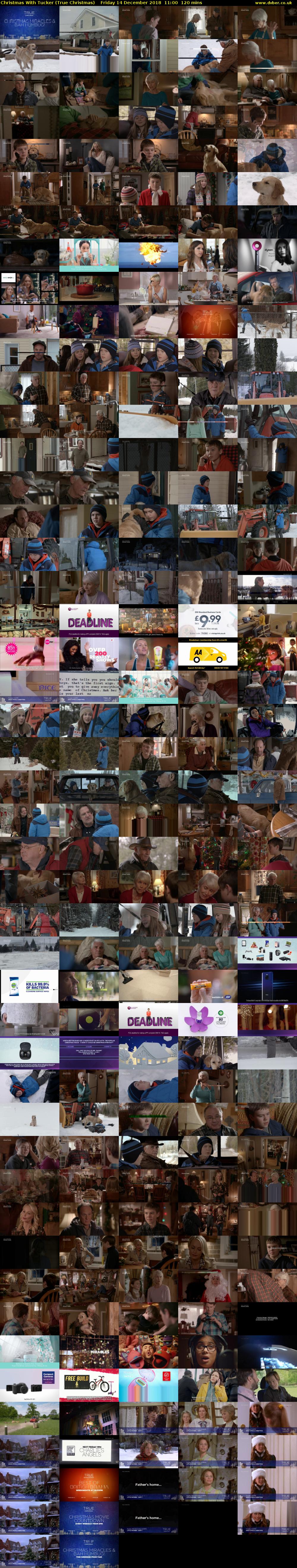 Christmas With Tucker (True Christmas) Friday 14 December 2018 11:00 - 13:00