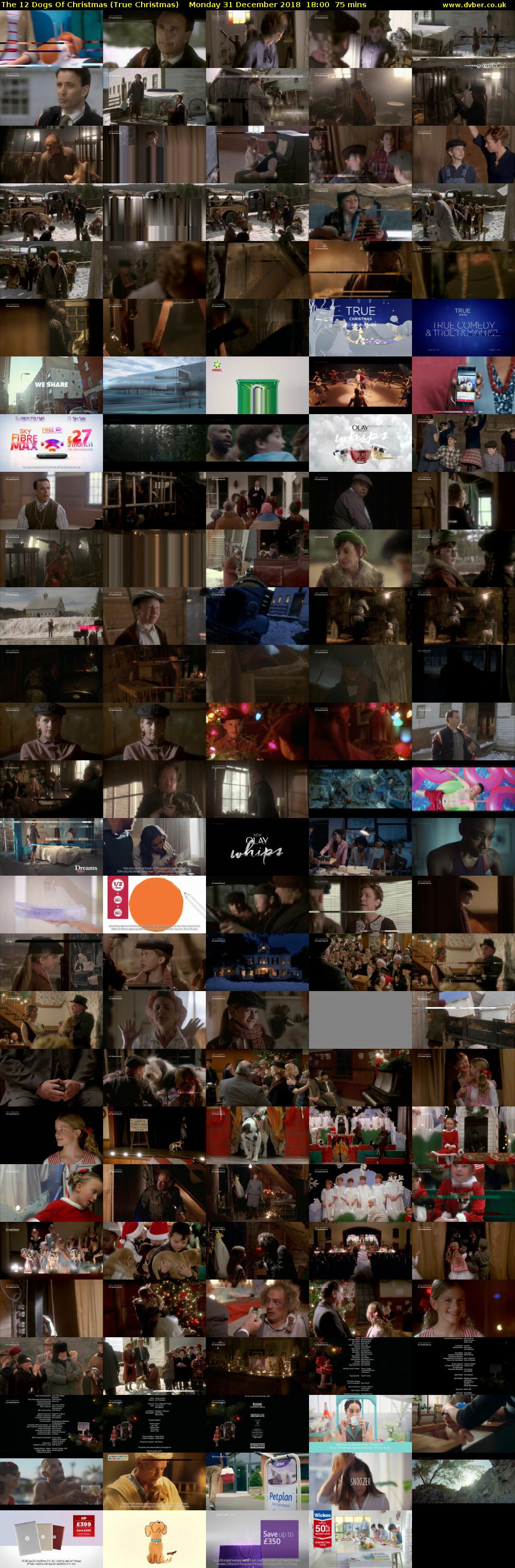 The 12 Dogs Of Christmas (True Christmas) Monday 31 December 2018 18:00 - 19:15