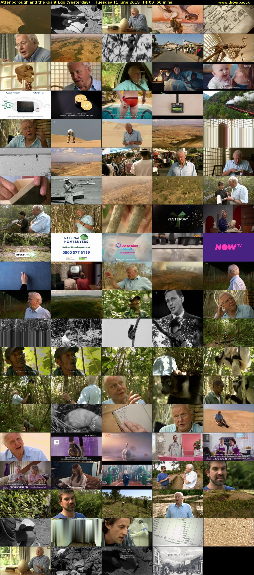 Attenborough and the Giant Egg (Yesterday) Tuesday 11 June 2019 14:00 - 15:00