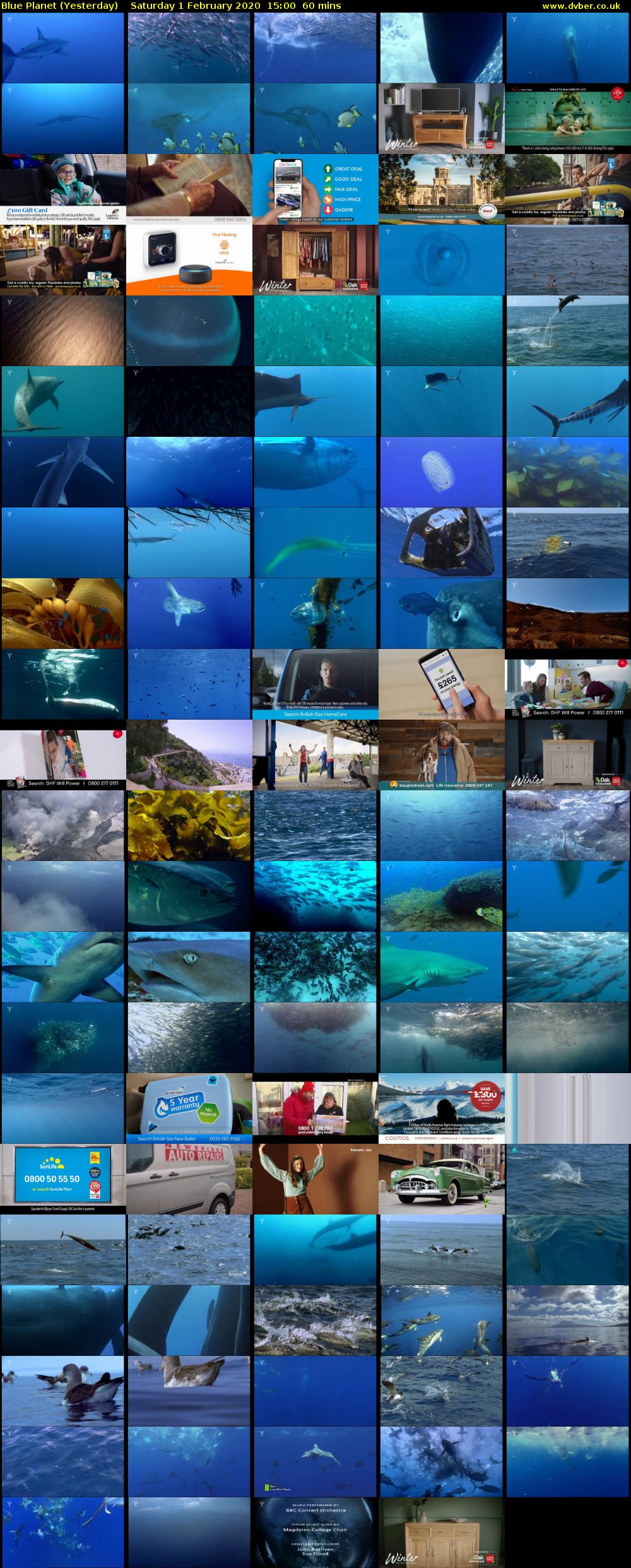 Blue Planet (Yesterday) Saturday 1 February 2020 15:00 - 16:00