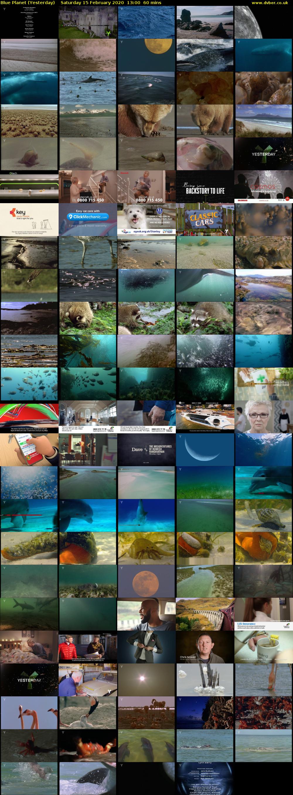 Blue Planet (Yesterday) Saturday 15 February 2020 13:00 - 14:00