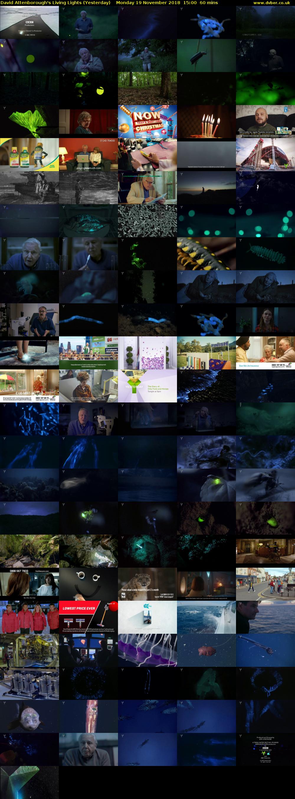 David Attenborough's Living Lights (Yesterday) Monday 19 November 2018 15:00 - 16:00