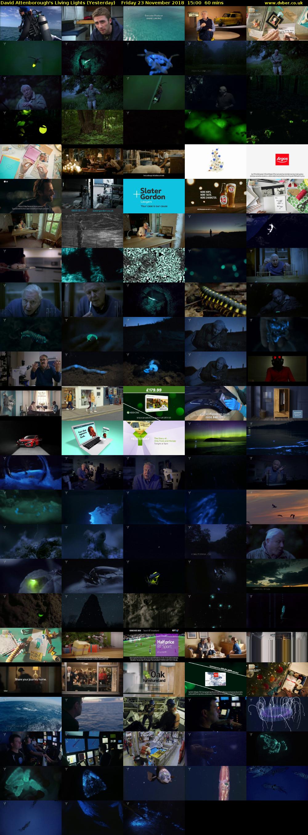 David Attenborough's Living Lights (Yesterday) Friday 23 November 2018 15:00 - 16:00