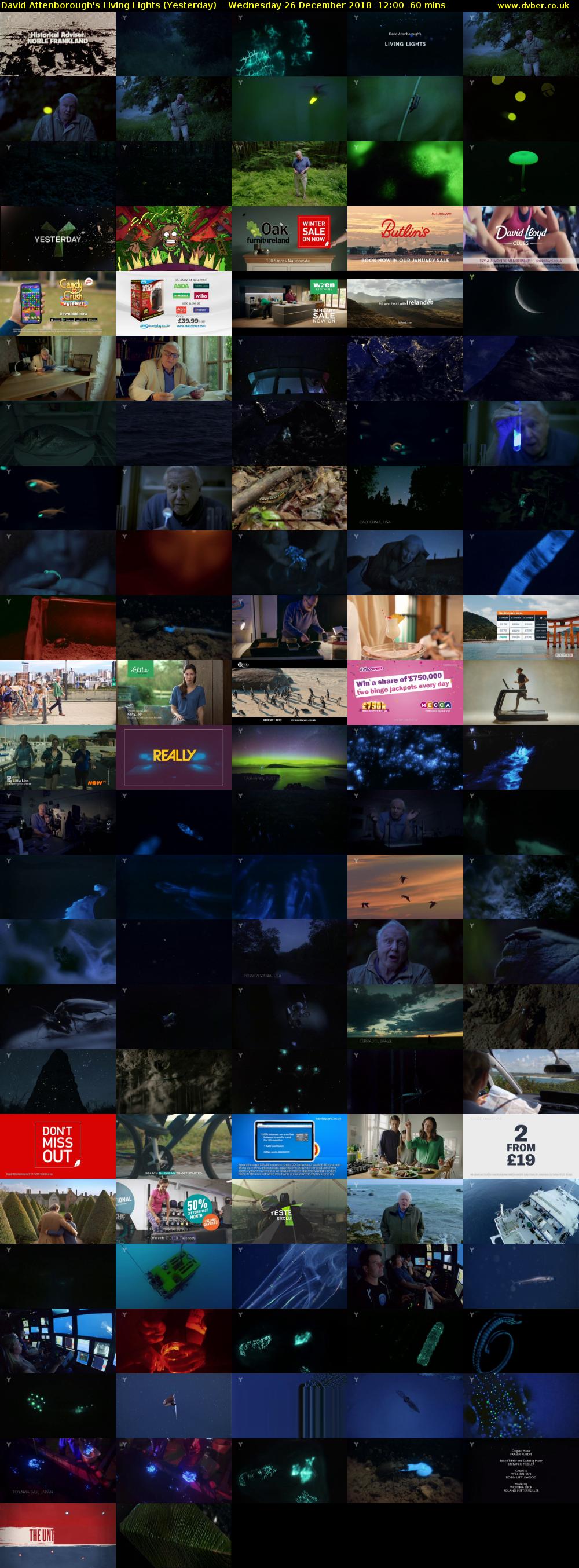 David Attenborough's Living Lights (Yesterday) Wednesday 26 December 2018 12:00 - 13:00