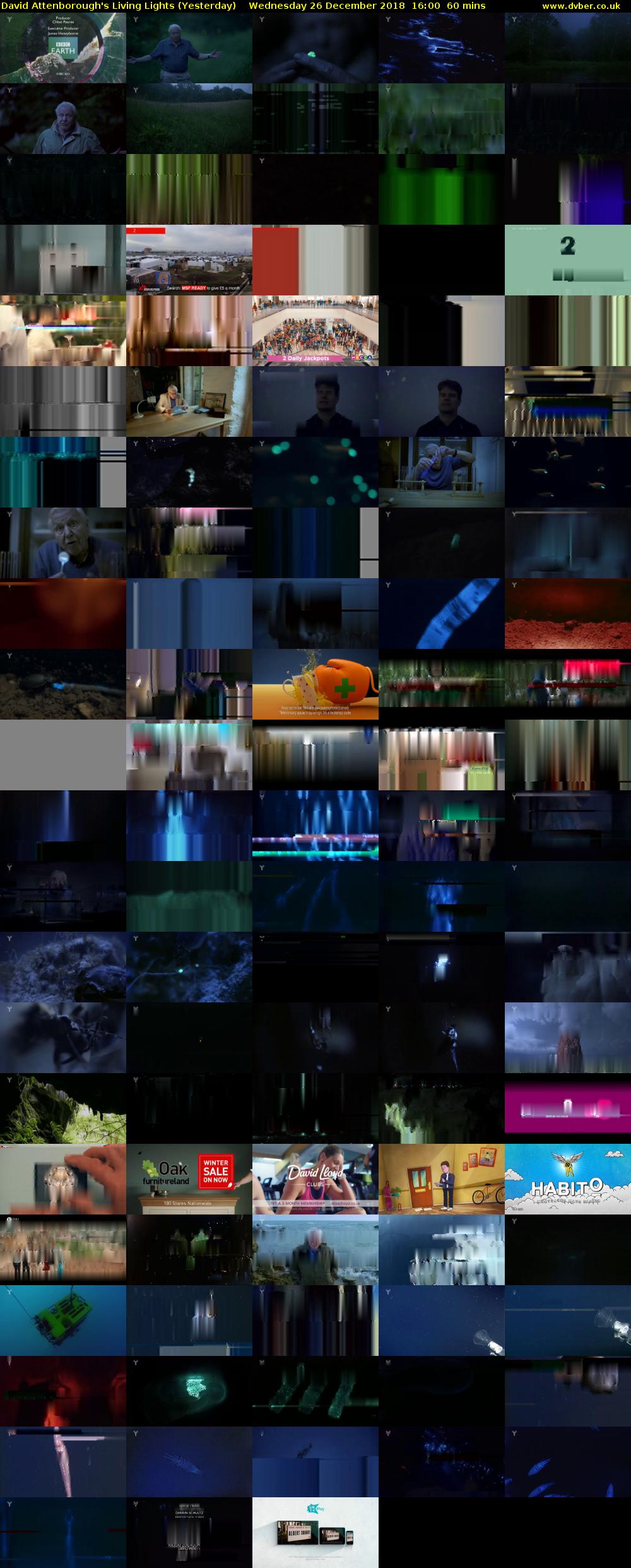 David Attenborough's Living Lights (Yesterday) Wednesday 26 December 2018 16:00 - 17:00