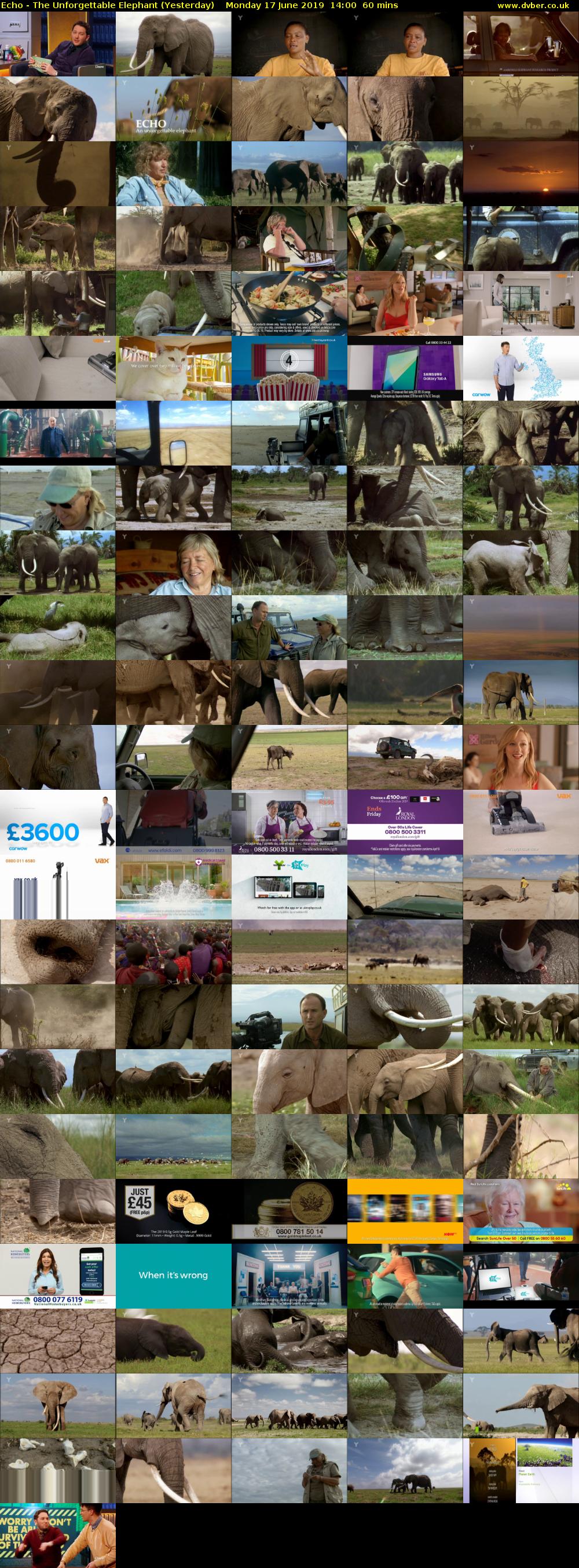 Echo - The Unforgettable Elephant (Yesterday) Monday 17 June 2019 14:00 - 15:00