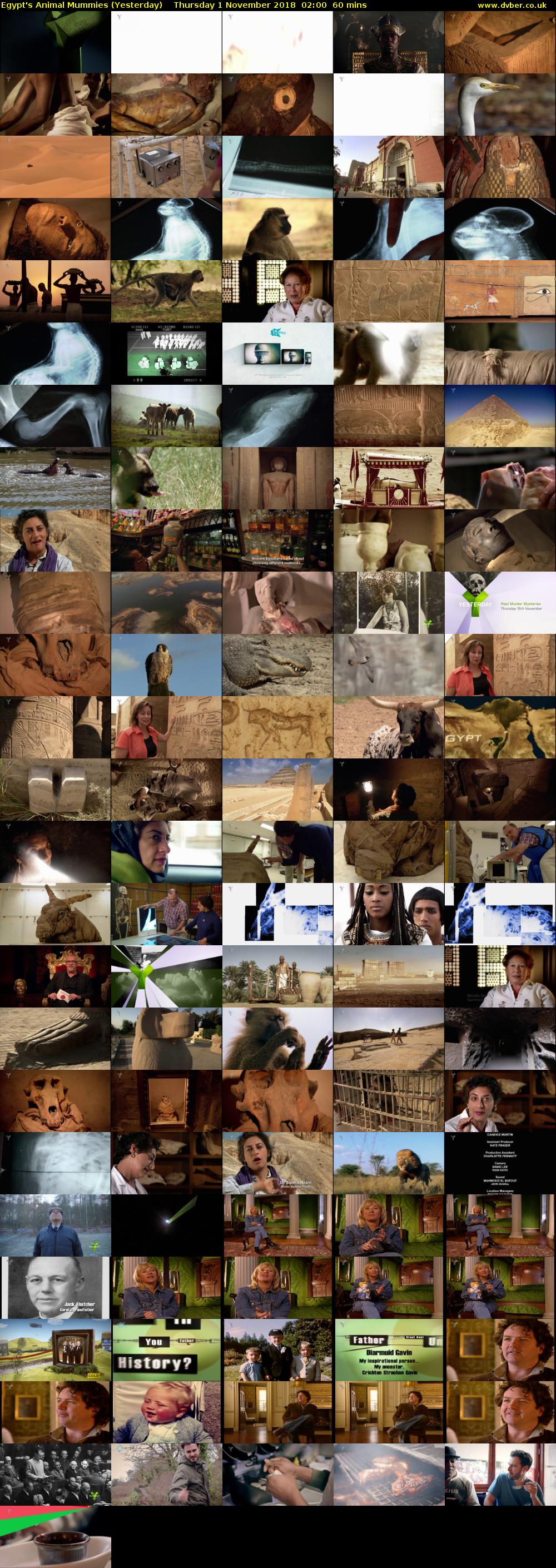 Egypt's Animal Mummies (Yesterday) Thursday 1 November 2018 02:00 - 03:00