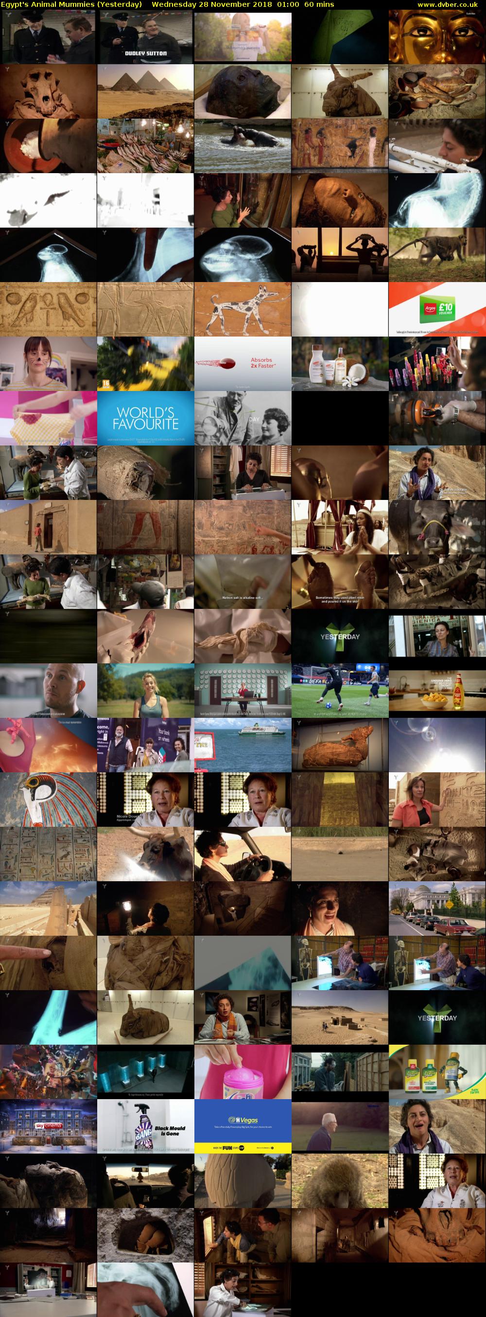 Egypt's Animal Mummies (Yesterday) Wednesday 28 November 2018 01:00 - 02:00