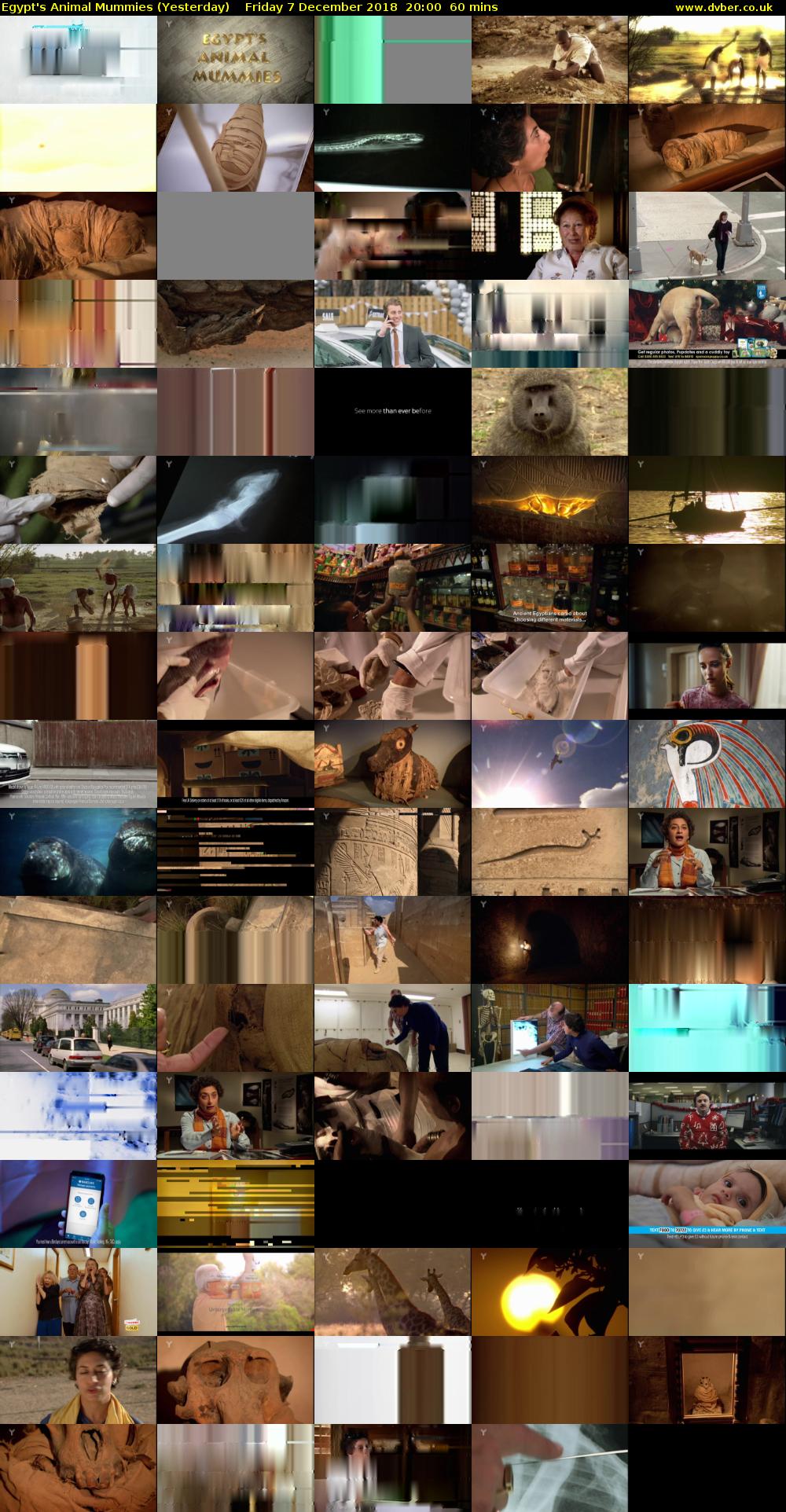 Egypt's Animal Mummies (Yesterday) Friday 7 December 2018 20:00 - 21:00